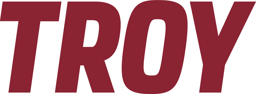 Troy Trojans 2019-Pres Wordmark Logo iron on transfers for clothing